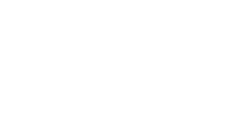 World Fuel Service logo white